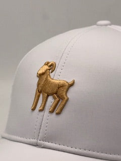 VIVUS Performance Snapback - White