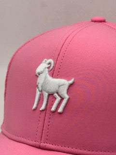 VIVUS Performance Snapback - Pink